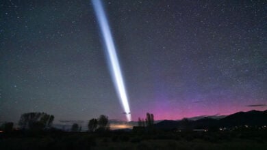 Arizona