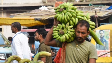 Banana