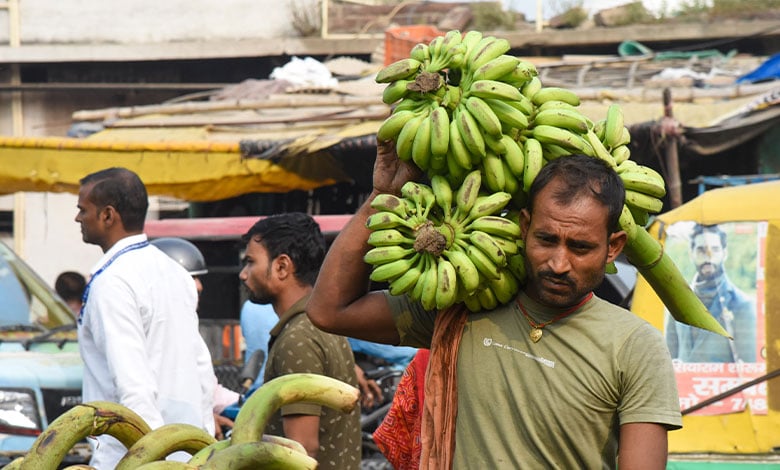 Banana