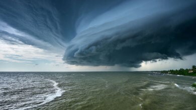 Cyclone