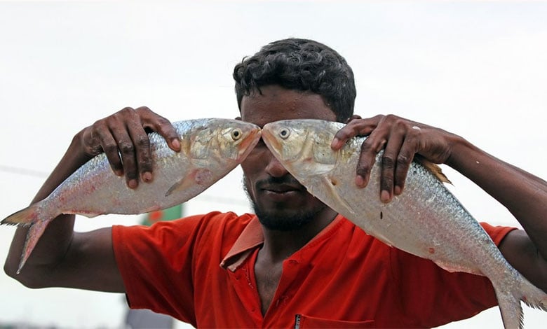 Fish