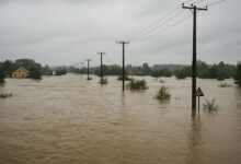 Flood