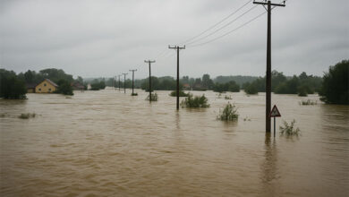 Flood