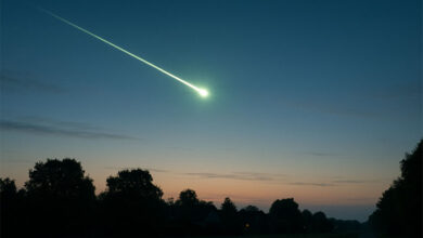Meteorite