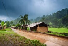 Monsoon