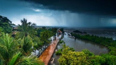 Monsoon