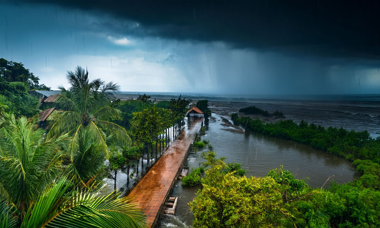 Monsoon