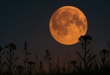 Moon