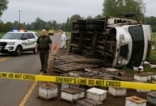 Accident