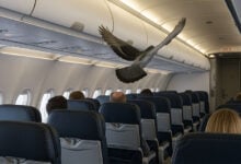 Aeroplane