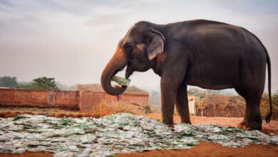 Elephant
