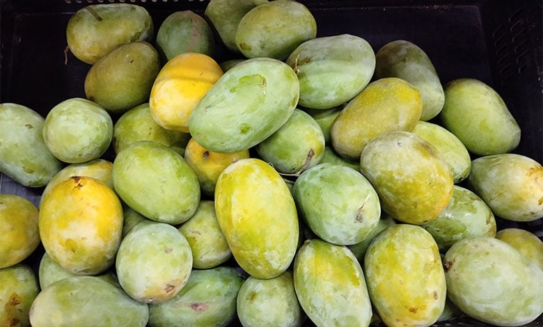 Mango