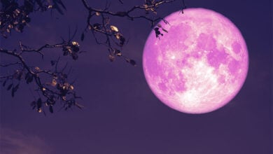 Moon