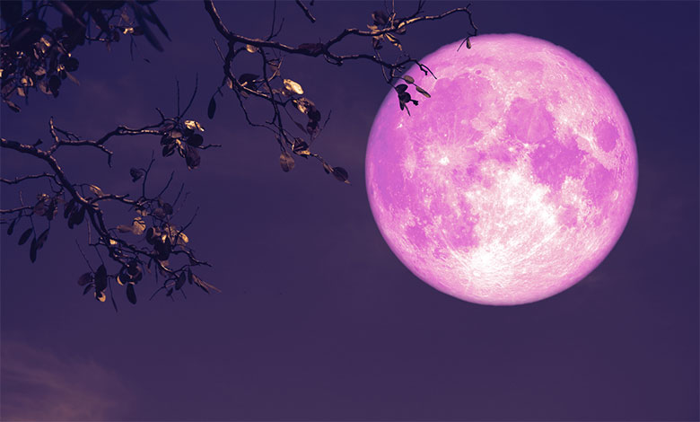 Moon