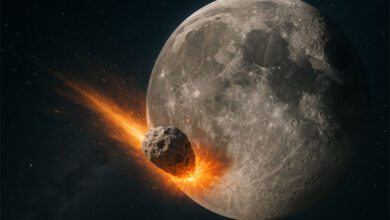 Asteroid