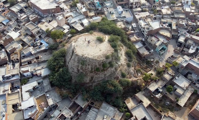 Bengali Feature