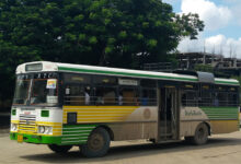 Bus