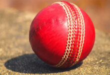 Cricket