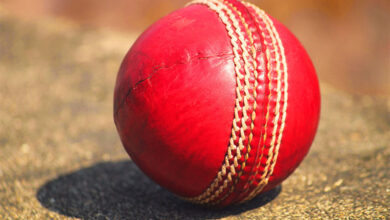 Cricket