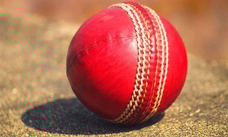 Cricket