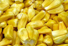 Jackfruit