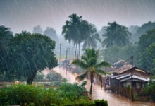 Monsoon