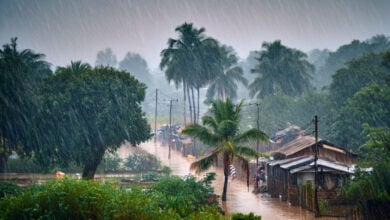 Monsoon