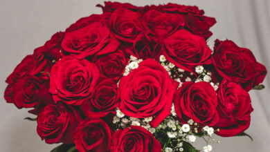Rose
