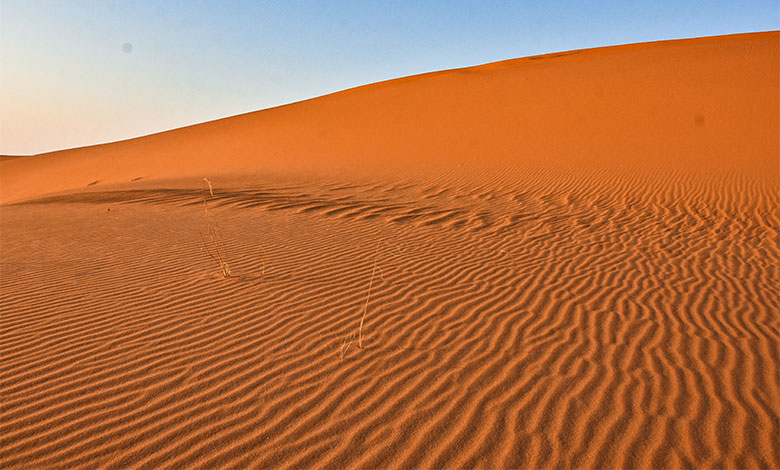 Saudi Arabia