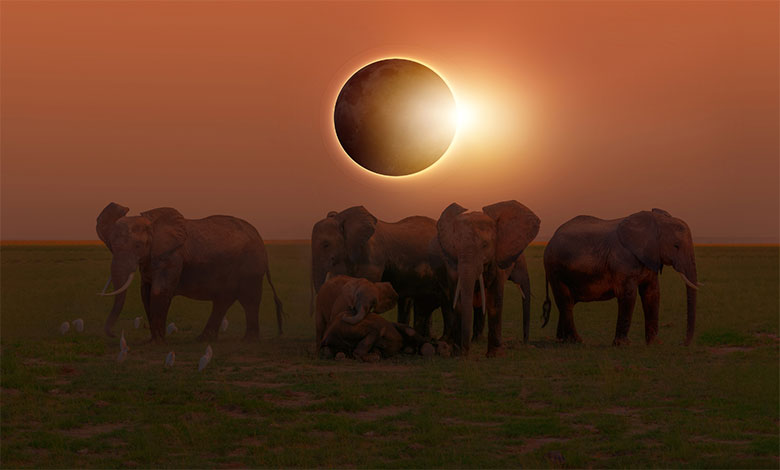 Solar Eclipse