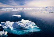 Antarctica