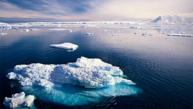 Antarctica