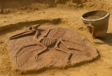 Archaeology