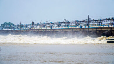 Durgapur Barrage