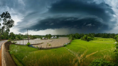 Monsoon