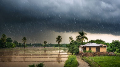 Monsoon
