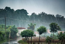 Monsoon