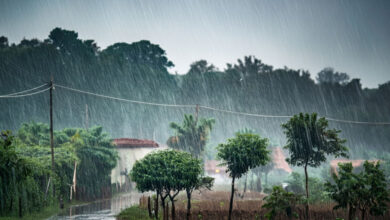Monsoon