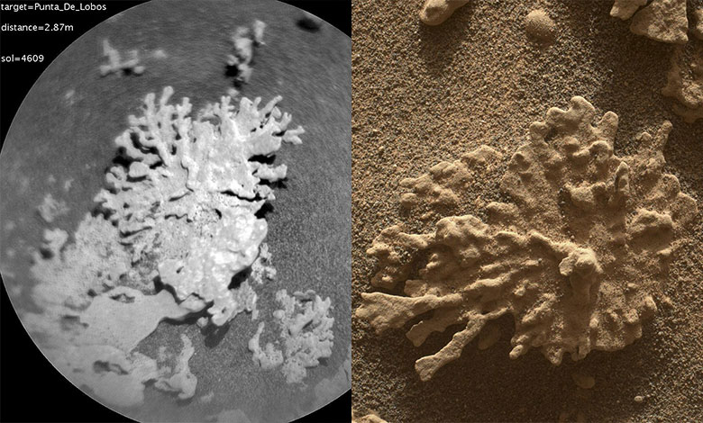 NASA