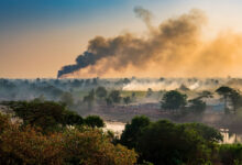 Pollution