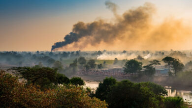 Pollution
