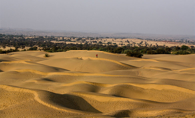 Thar Desert
