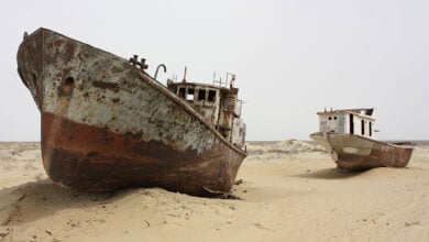 Aral Sea