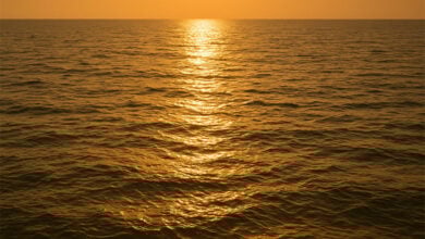 Water