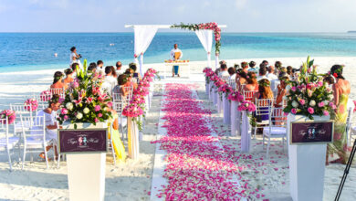 Wedding