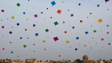 Kite