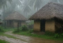 Monsoon