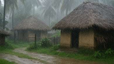 Monsoon