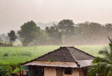 Monsoon