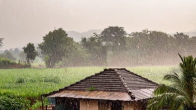 Monsoon